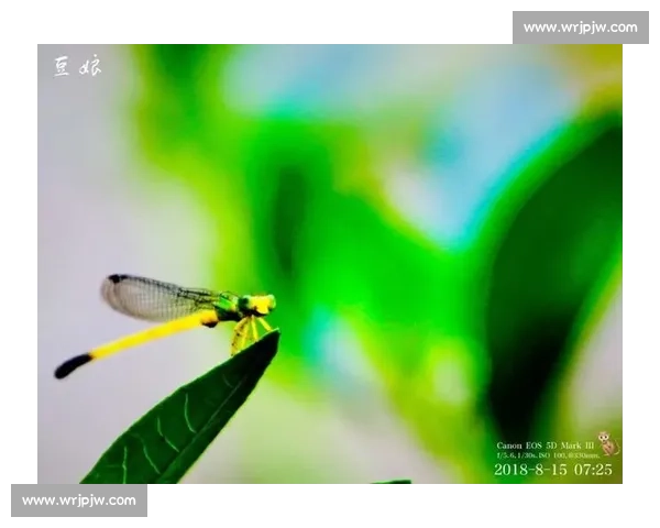 闲记:热爱,是生活最暖的答案 闲记:热爱,是生活最暖的答案