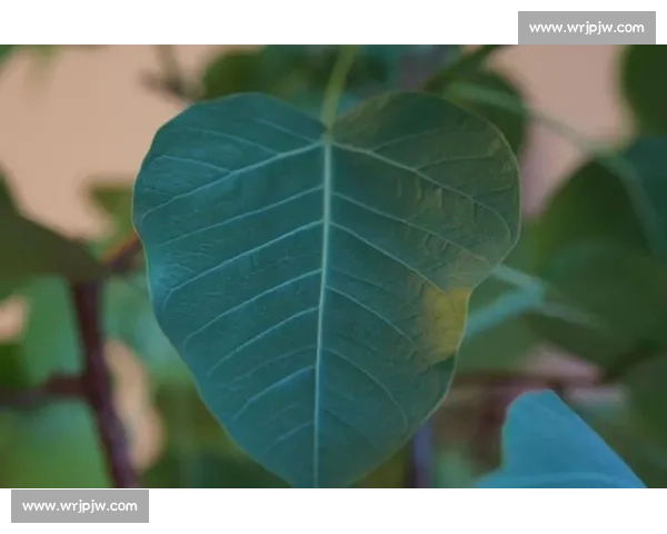 闲记:热爱,是生活最暖的答案